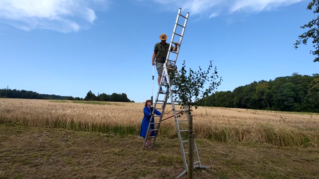 Landszene Tag