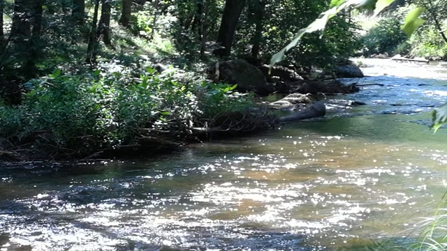 B-Roll Natur